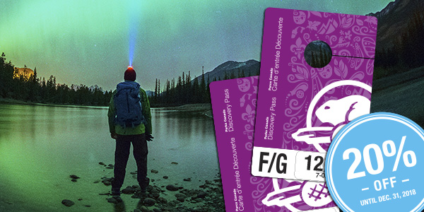 A man standing along a lake shoreline, looking at the northern lights in the glow of his headlamp.