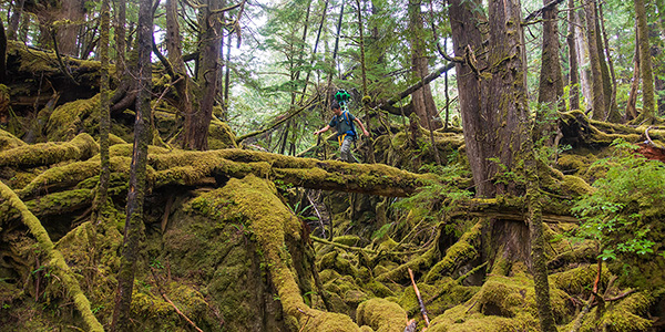 Google Trekker records data at Gwaii Haanas National Park Reserve, National Marine Conservation Area Reserve, and Haida Heritage Site.