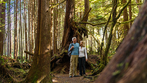 A couple stands surrounded by forest in Pacific Rim National Park Reserve.