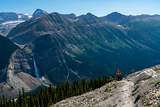 A single hiker walks high on the Ice Line trail in the Yoho Valley, with Takakkaw Falls in the background.