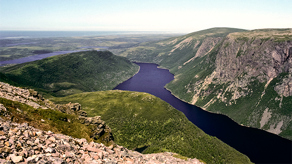 Aerial view of the inland fjord in Gros Morne National Park, a UNESCO World Heritage site.
