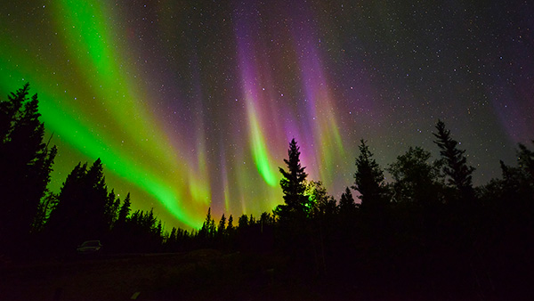 Des aurores boréales vives et colorées au parc national Wood Buffalo.