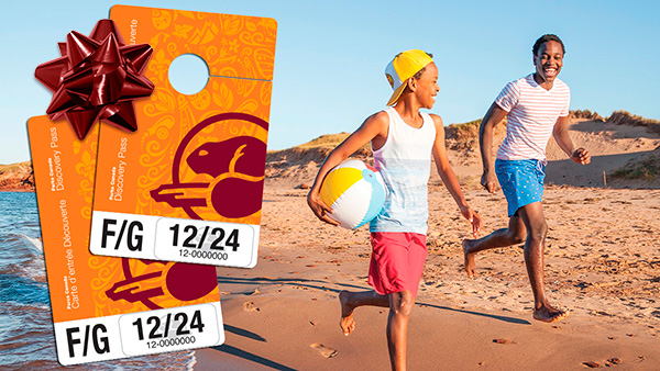 Discovery Pass overlaid on a photograph of young visitors run on the beach.