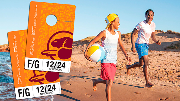 Discovery Pass overlaid on a photograph of young visitors running on a beach.